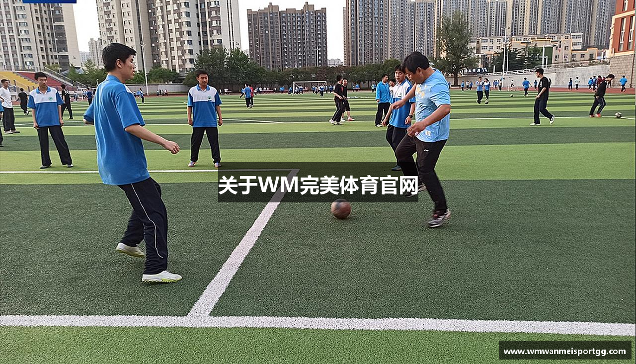 关于WM完美体育官网